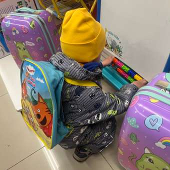 Рюкзак дошкольный Erhaft Три Кота: отзыв пользователя Детский Мир