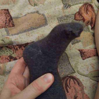 Колготки BabyGо : отзыв пользователя Детский Мир