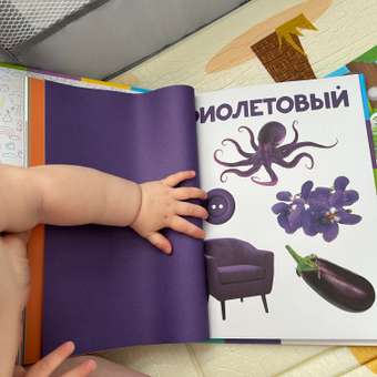 Развивающая Проф-Пресс Главная книга малыша от 0 до 3 лет: отзыв пользователя Детский Мир