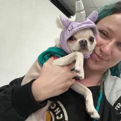 Фото отзыва 10651133