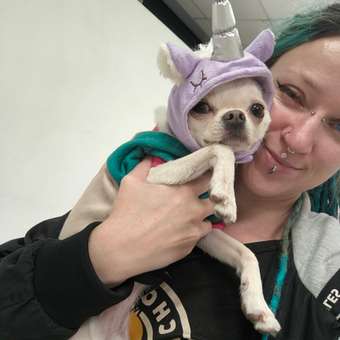 Шапка для собак и кошек Зоозавр: отзыв пользователя. Зоомагазин Зоозавр