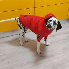 Фото отзыва 10531196