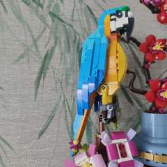 Фото отзыва 10906777