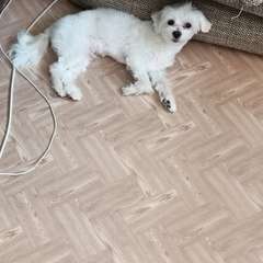 Фото отзыва 11258517