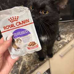 Фото отзыва 10744607