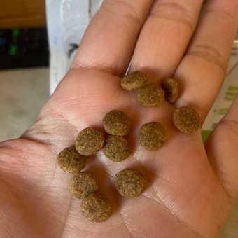 Корм для собак ROYAL CANIN миниатюрных пород 500г: отзыв пользователя. Зоомагазин Зоозавр