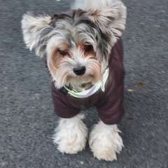 Фото отзыва 10705891