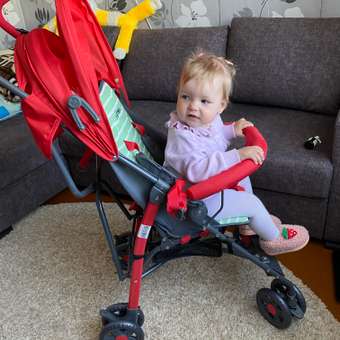 Коляска прогулочная Babyton Zoo красный: отзыв пользователя ДетМир