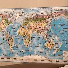 Фото отзыва 10529998