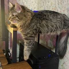 Фото отзыва 10647965