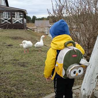 Рюкзак PIFPAF KIDS: отзыв пользователя Детский Мир