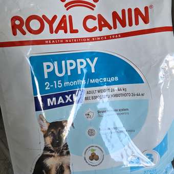Корм для щенков ROYAL CANIN Maxi Puppy 3кг: отзыв пользователя. Зоомагазин Зоозавр