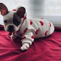 Фото отзыва 11075031