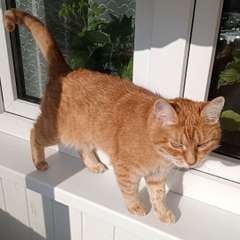 Видео отзыва 10884728