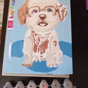Картина по номерам Hobby Paint Пёсик-доктор в ассортименте: отзыв пользователя Детский Мир