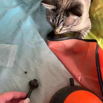 Интерактивная игрушка Pet Flat Дразнилка-прятки: отзыв пользователя. Зоомагазин Зоозавр