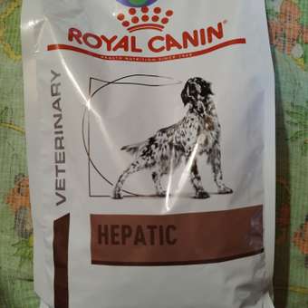 Корм для собак ROYAL CANIN Hepatic HF16 при заболеваниях печени 1.5кг: отзыв пользователя. Зоомагазин Зоозавр