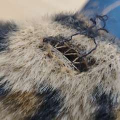 Фото отзыва 10647540