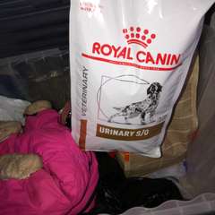 Фото отзыва 10941737