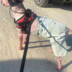 Фото отзыва 9895422